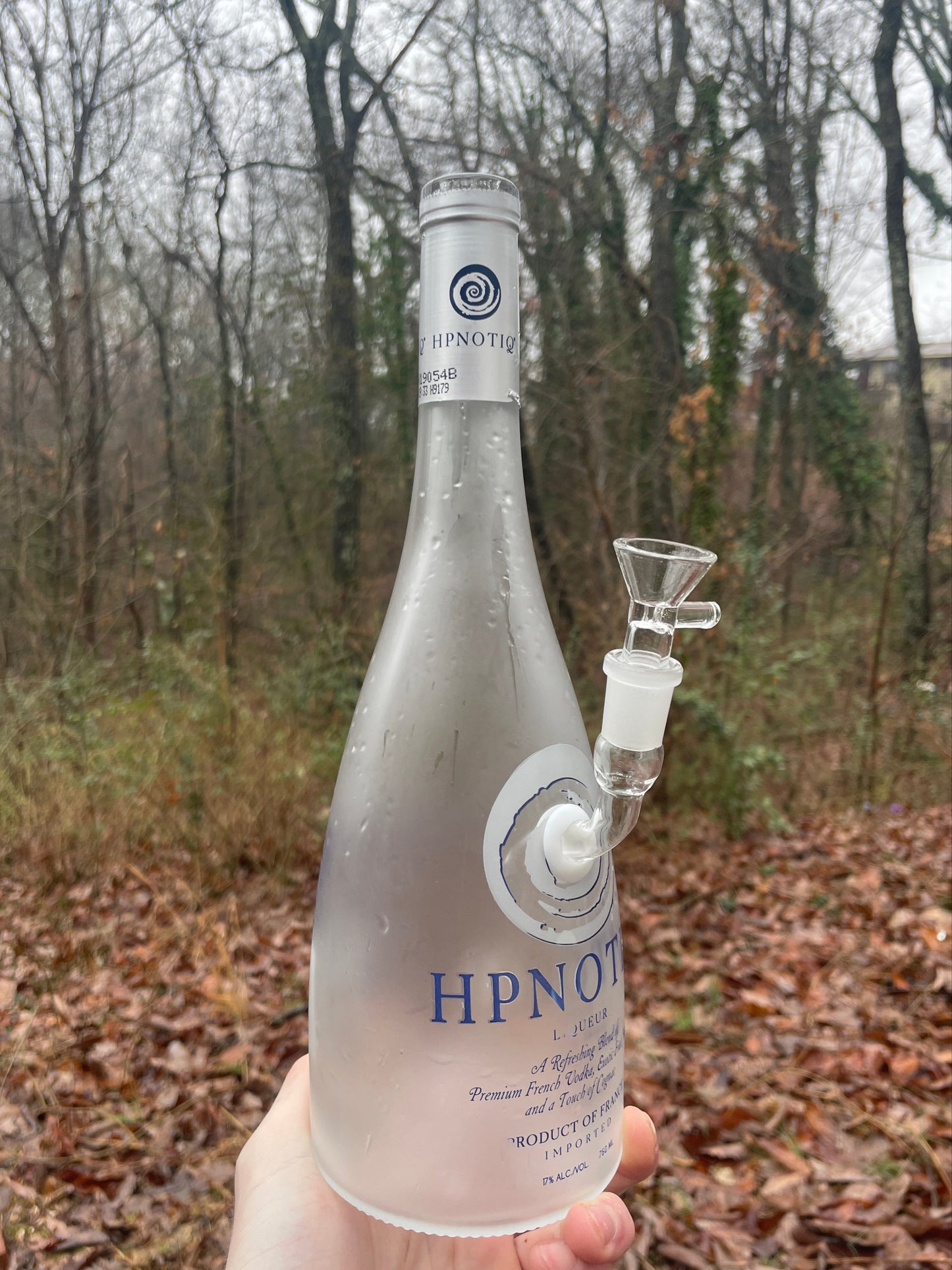 Hypnotiq Water Pipe